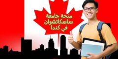 منحة جامعة ساسكاتشوان: وما هي تخصصات جامعة ساسكاتشوان؟