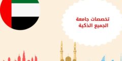 تخصصات جامعة الجميع الذكية: وهل جامعة الجميع الذكية معتمدة في السعودية؟