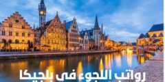 رواتب اللجوء في بلجيكا: وكم  راتب لم الشمل في بلجيكا؟ دليل شامل
