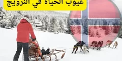 عيوب الحياة في النرويج: اكتشف الوجه الآخر عن عيوب السياحة في النرويج التي قد لا تتوقعها